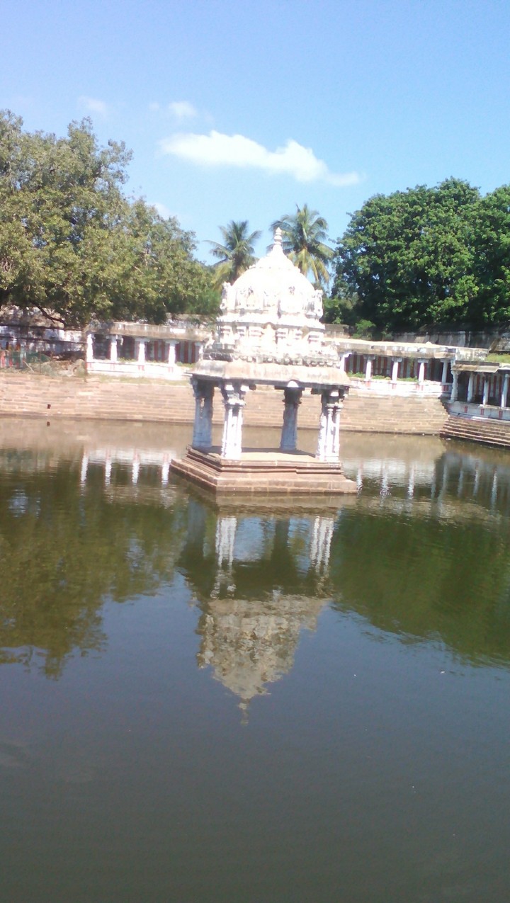 timple