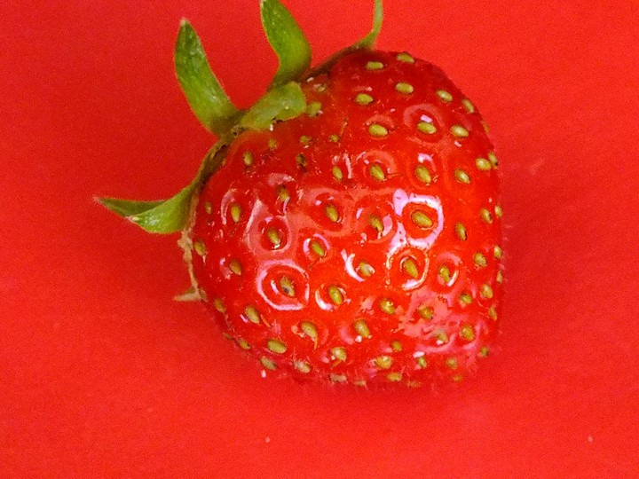 Erdbeere