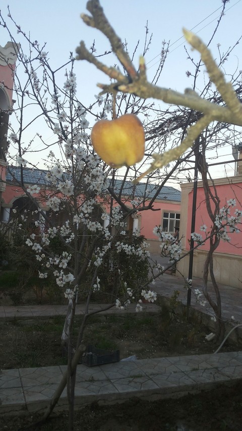 Nature