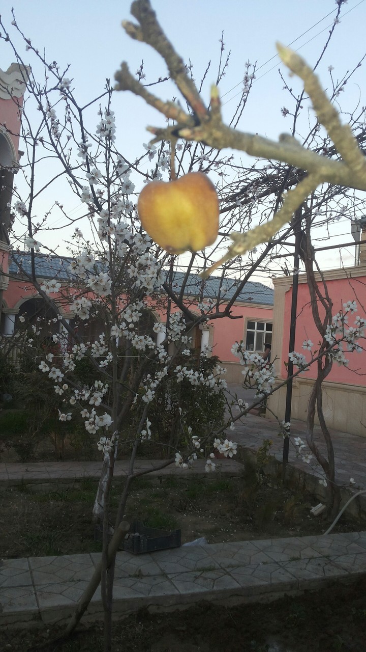 Nature