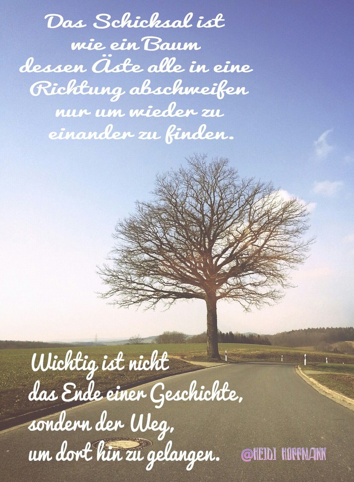 Schicksalsbaum