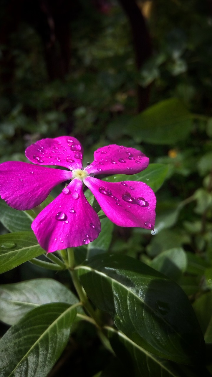 Beauty of nature