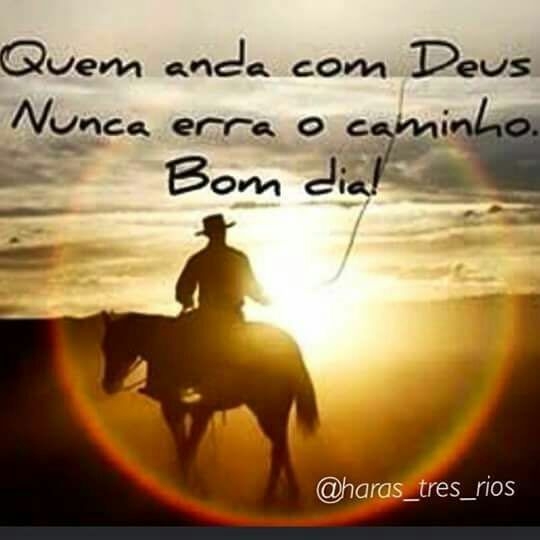 bom dia