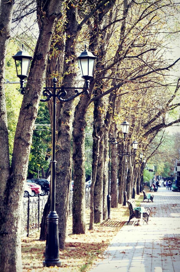 аллея