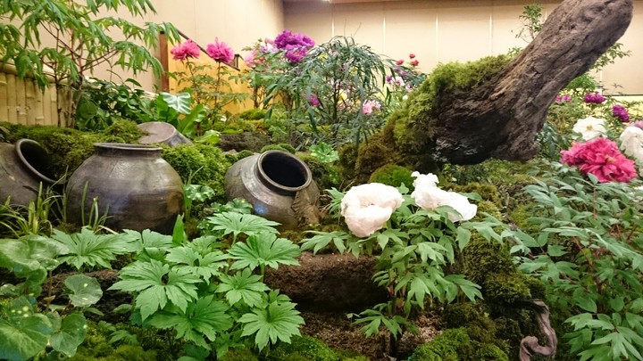 Japanese garden