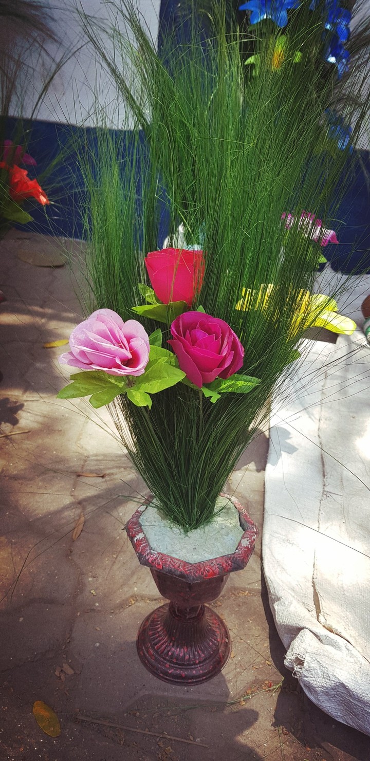 Roses in the flower pot