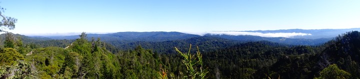 View from the top of Eagle Trail, near Big Basin