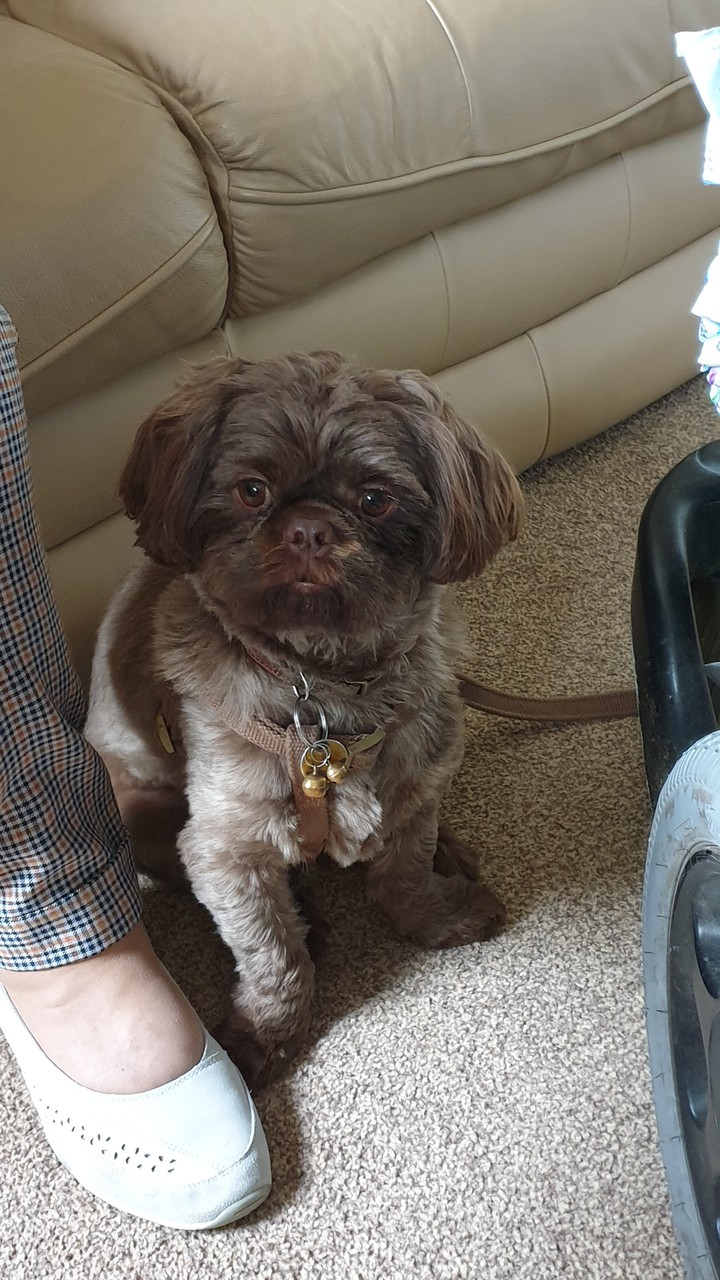 I'm a cute boy