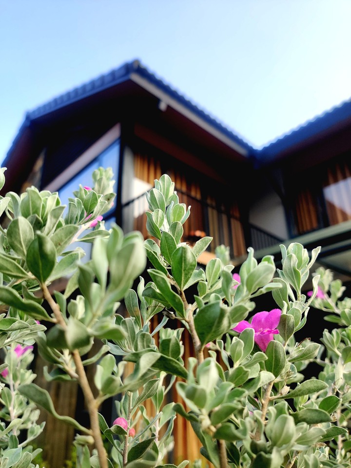 Homestay
