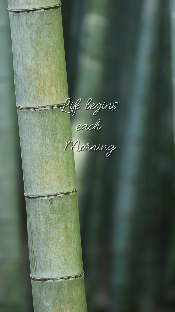 Life begins each morning ...