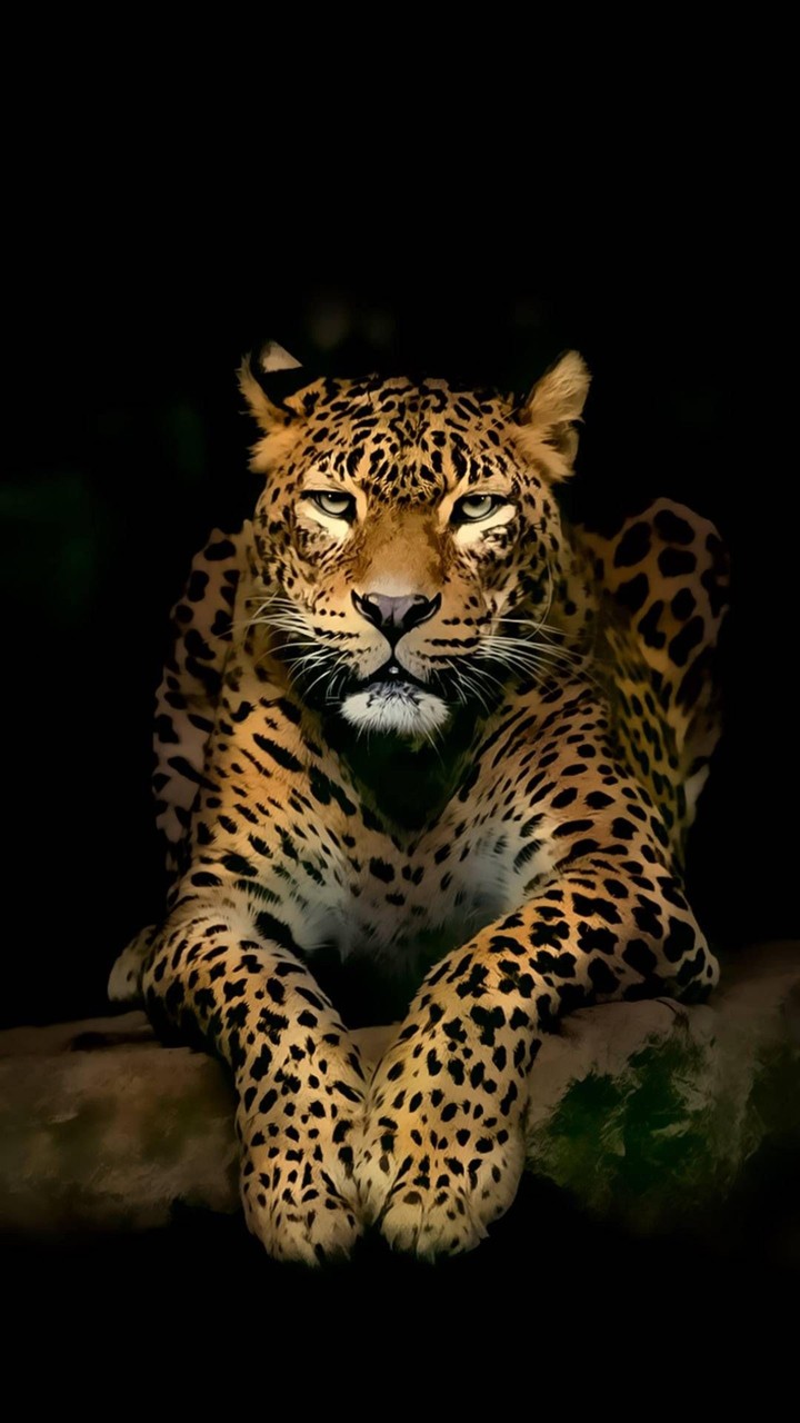 Tiger Painting