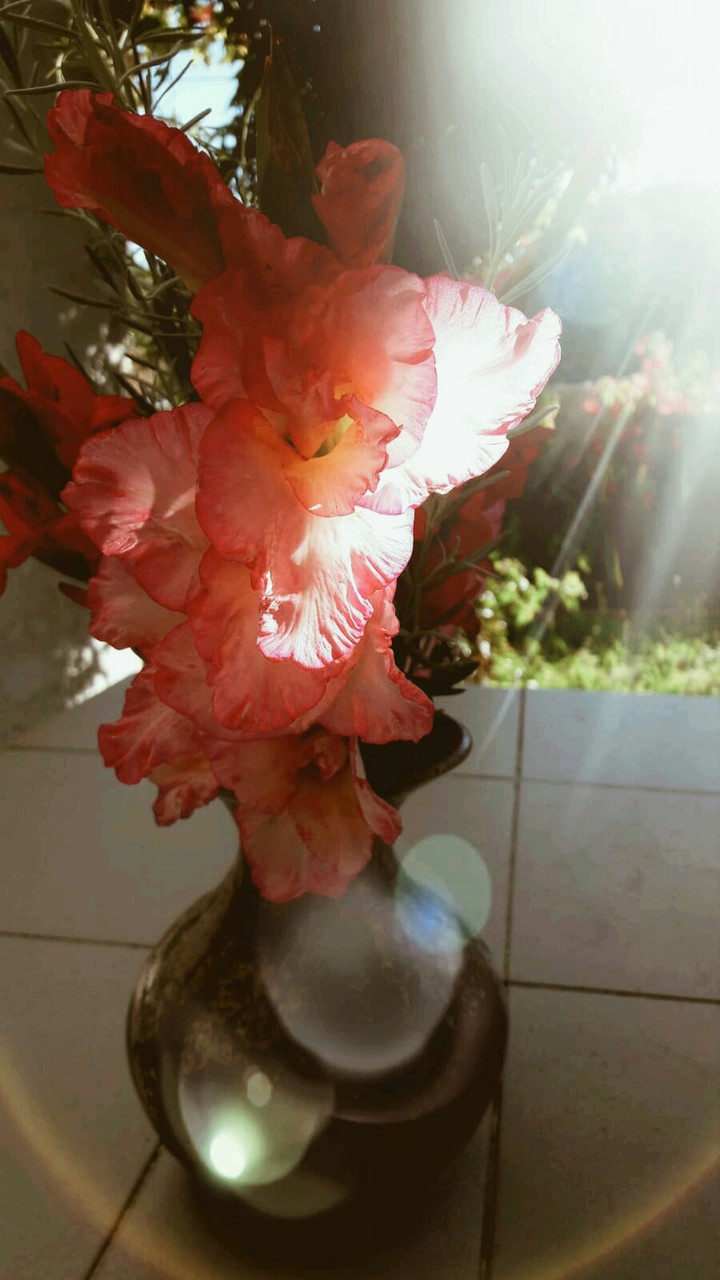 flower