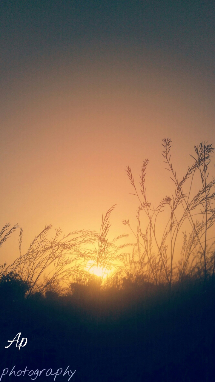 a morning with rising sun.