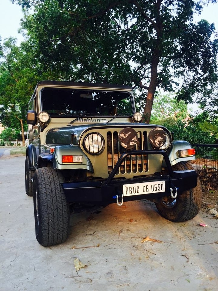 for thar lovers