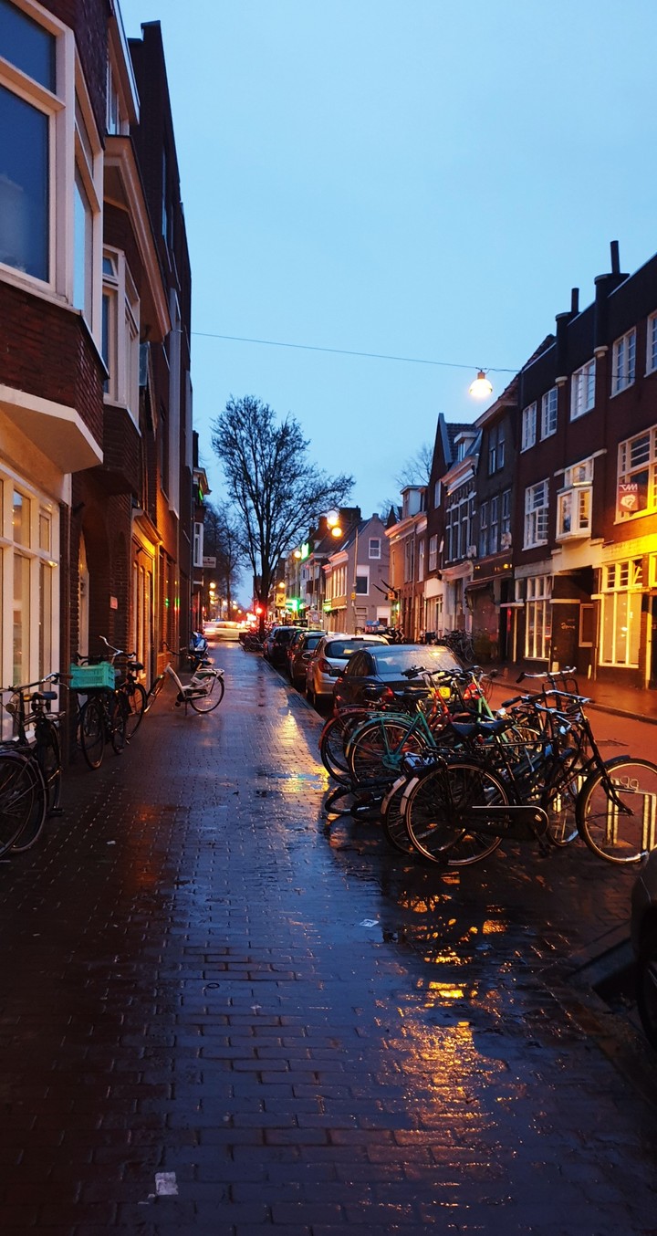 Flower street