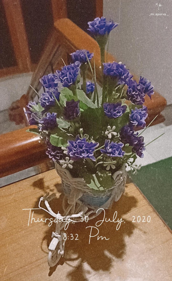 Cycle of flowers