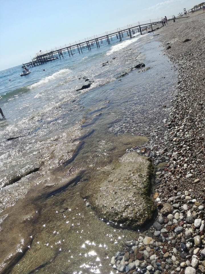 beach
