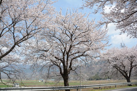 Spring