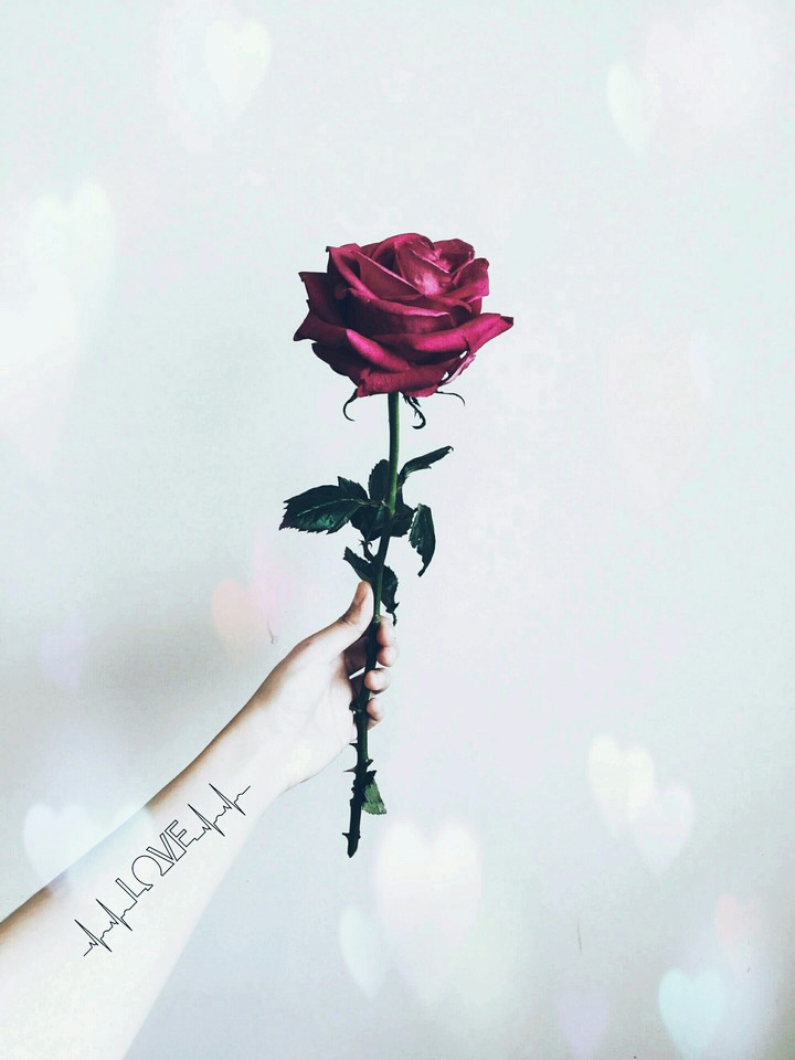 Owesome.... love... ❤❤