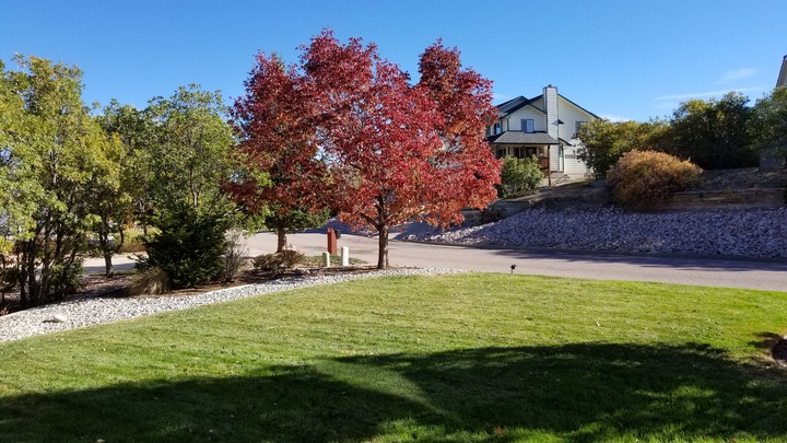 colorado