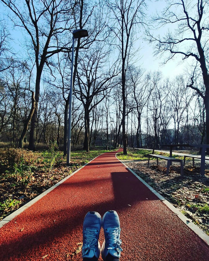 pathway
