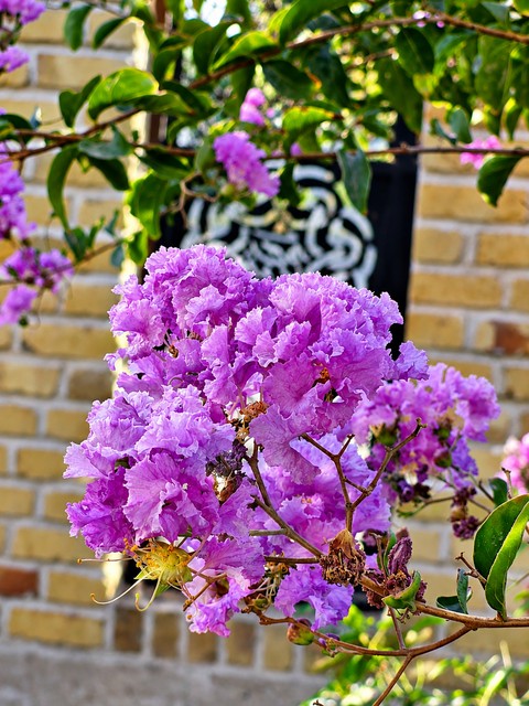 By me