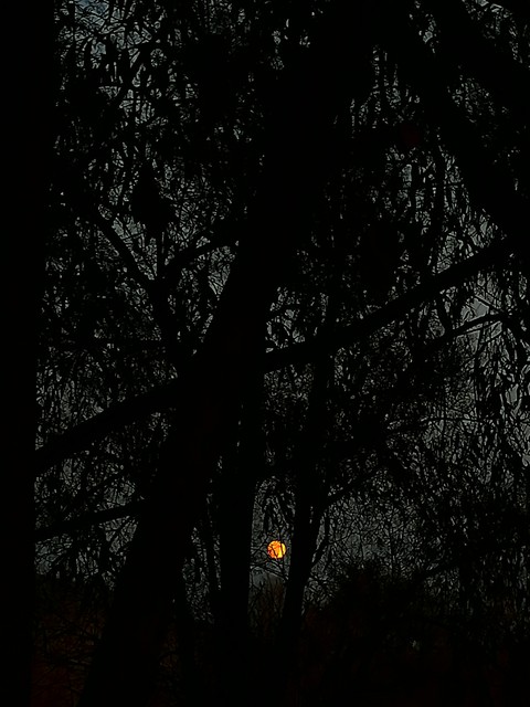 moon Light