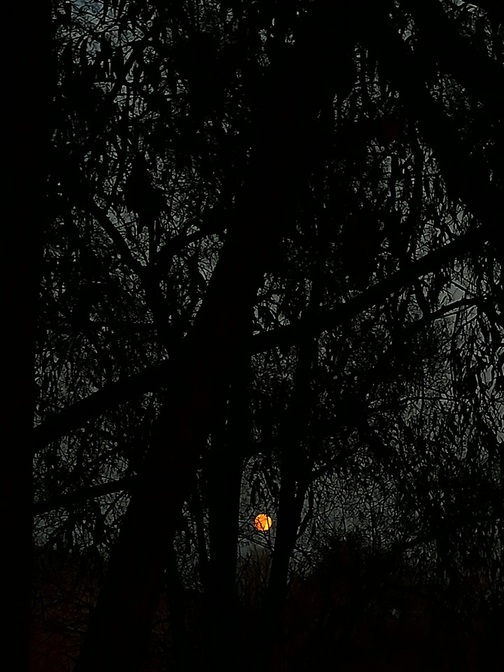 moon Light