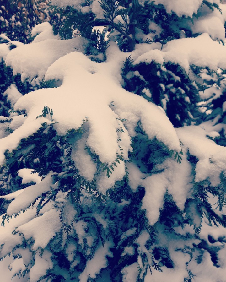 snow