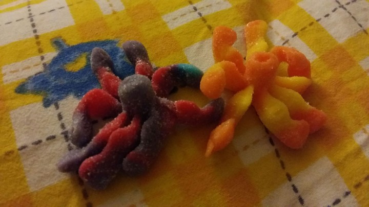 Octopus