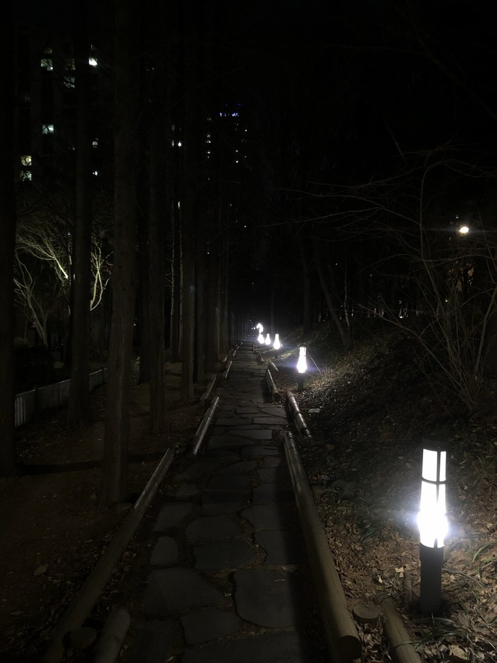 night light
