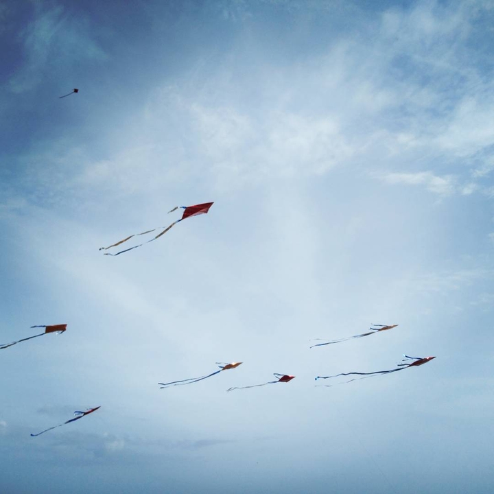 kites