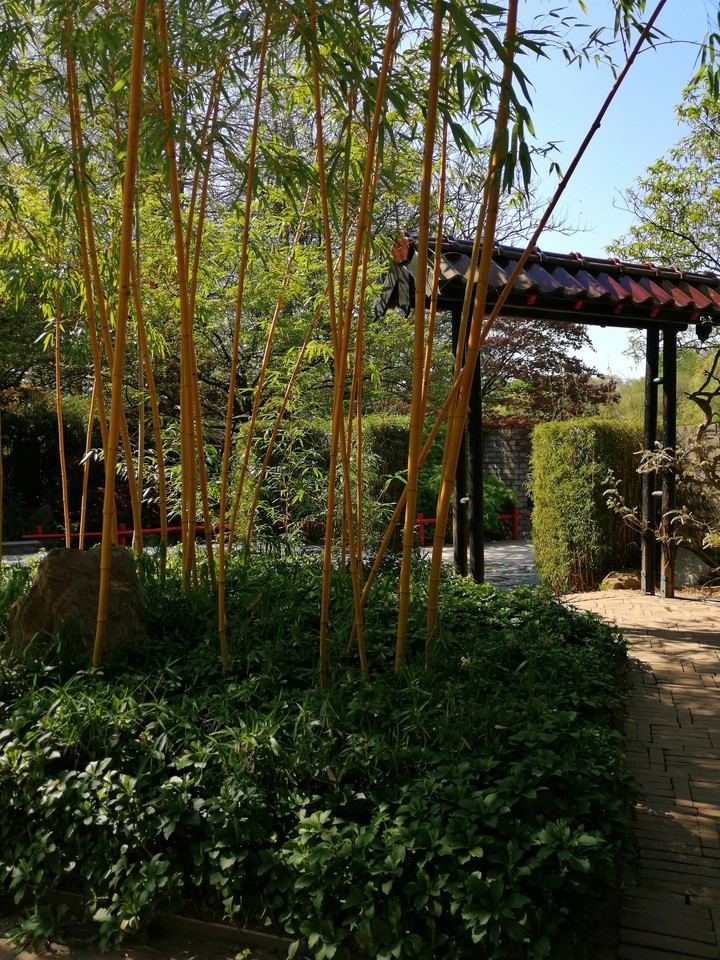 oosterse tuin