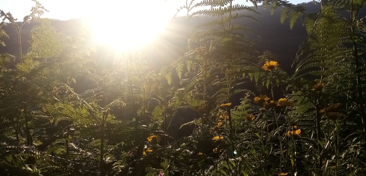 Sunshine in Portugal