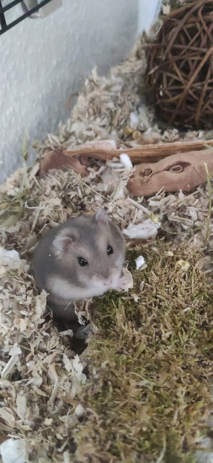 Binky ❤️