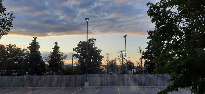 from the window during quarintine