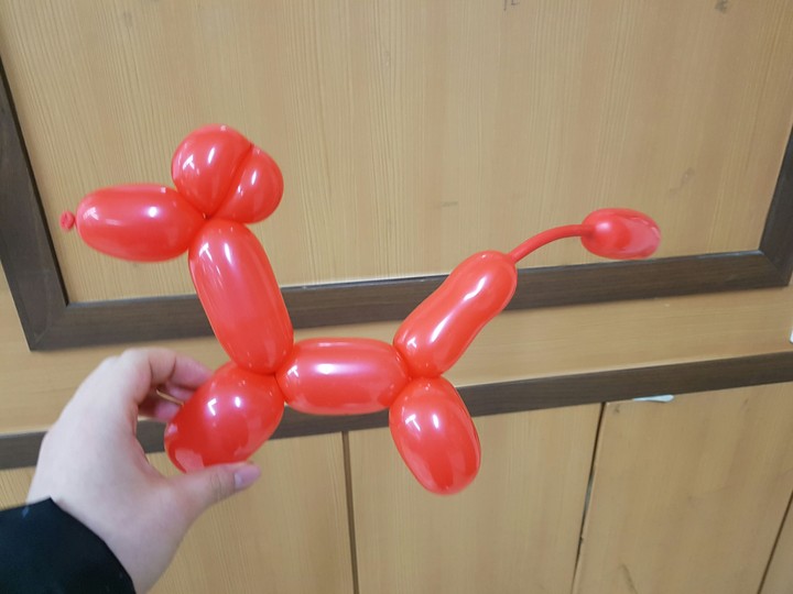 강아지