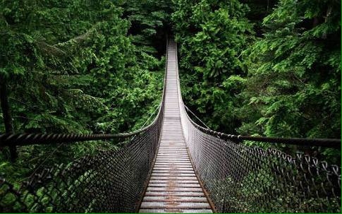 nature