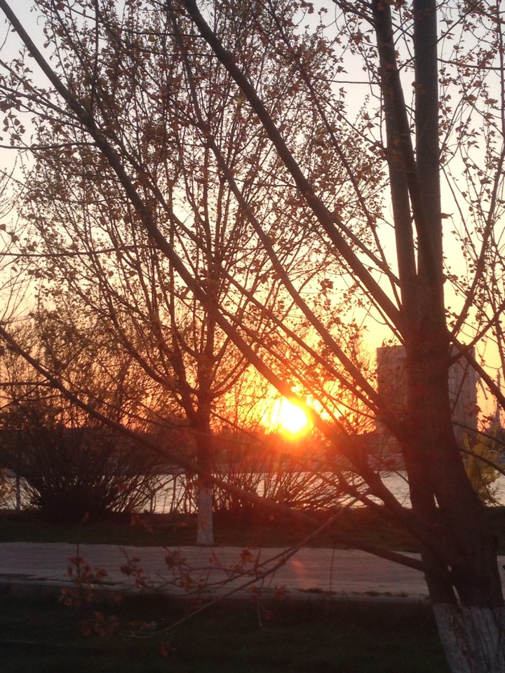 sun