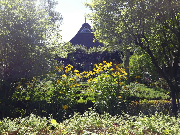 summergarden