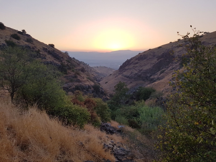 nature
