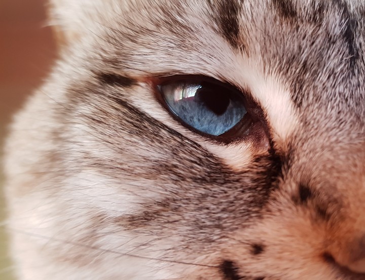 blue fire in your eyes