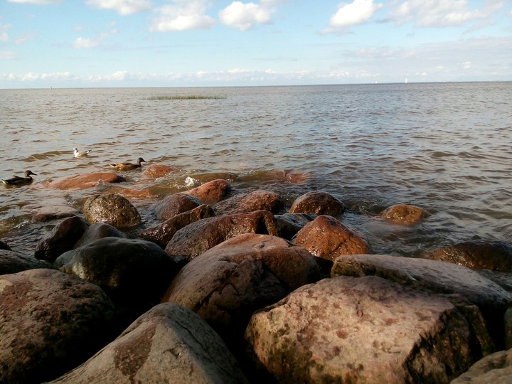 Coast Boulders