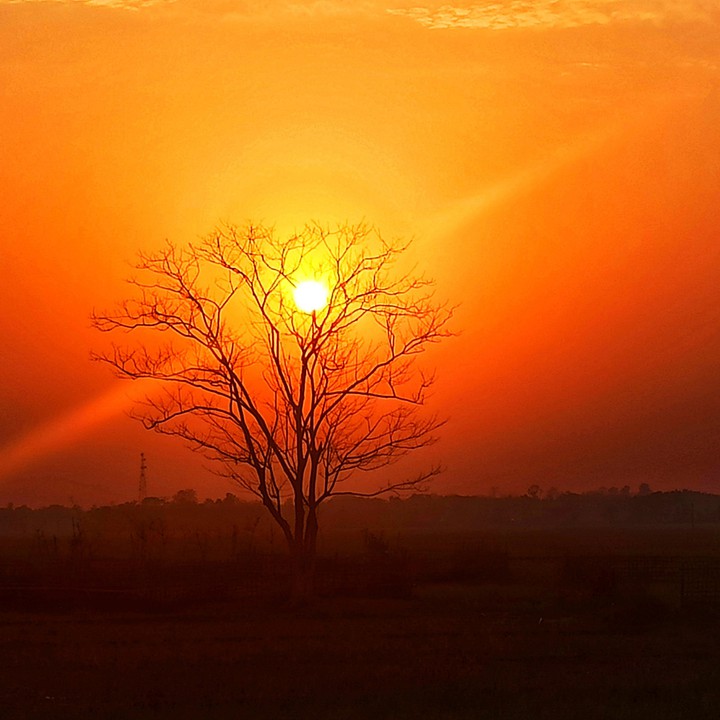 Sunset