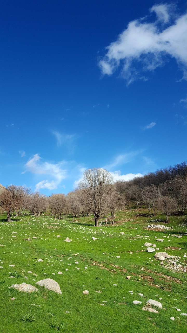لرستان