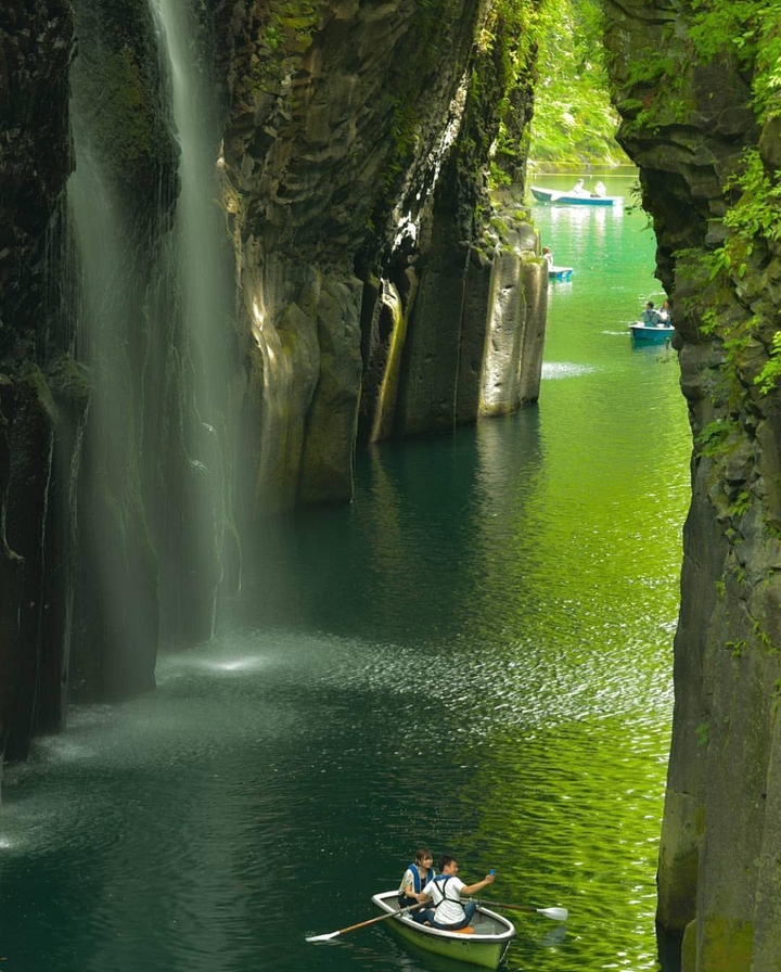 a world of green
