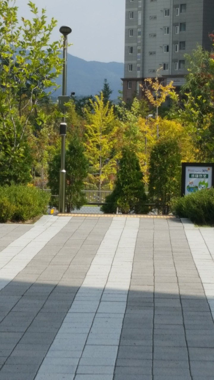 체험학습
