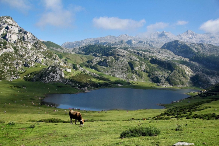Lago