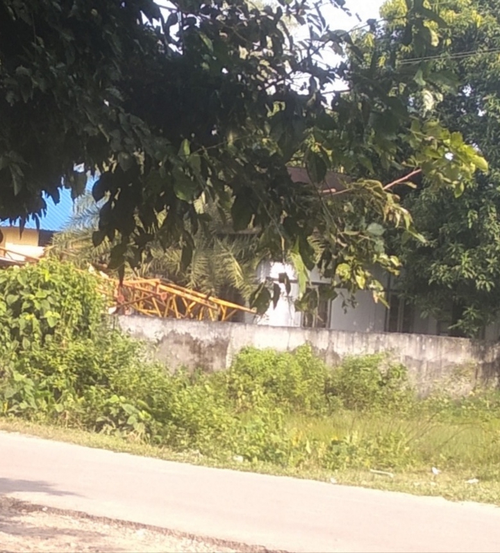 borgang , Assam