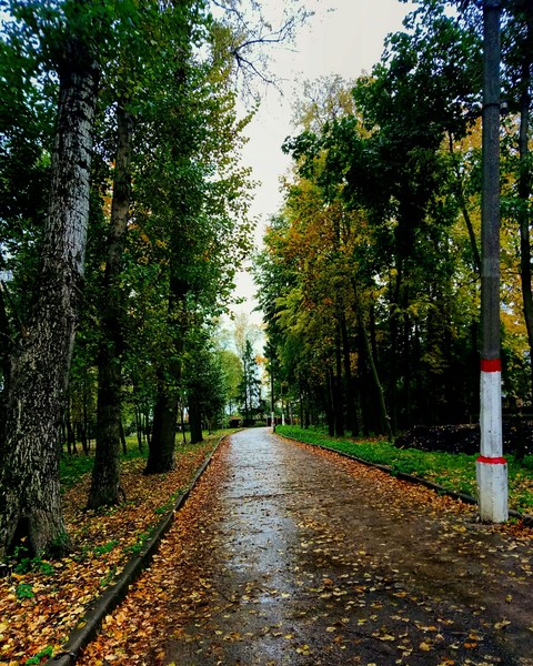 Autumn